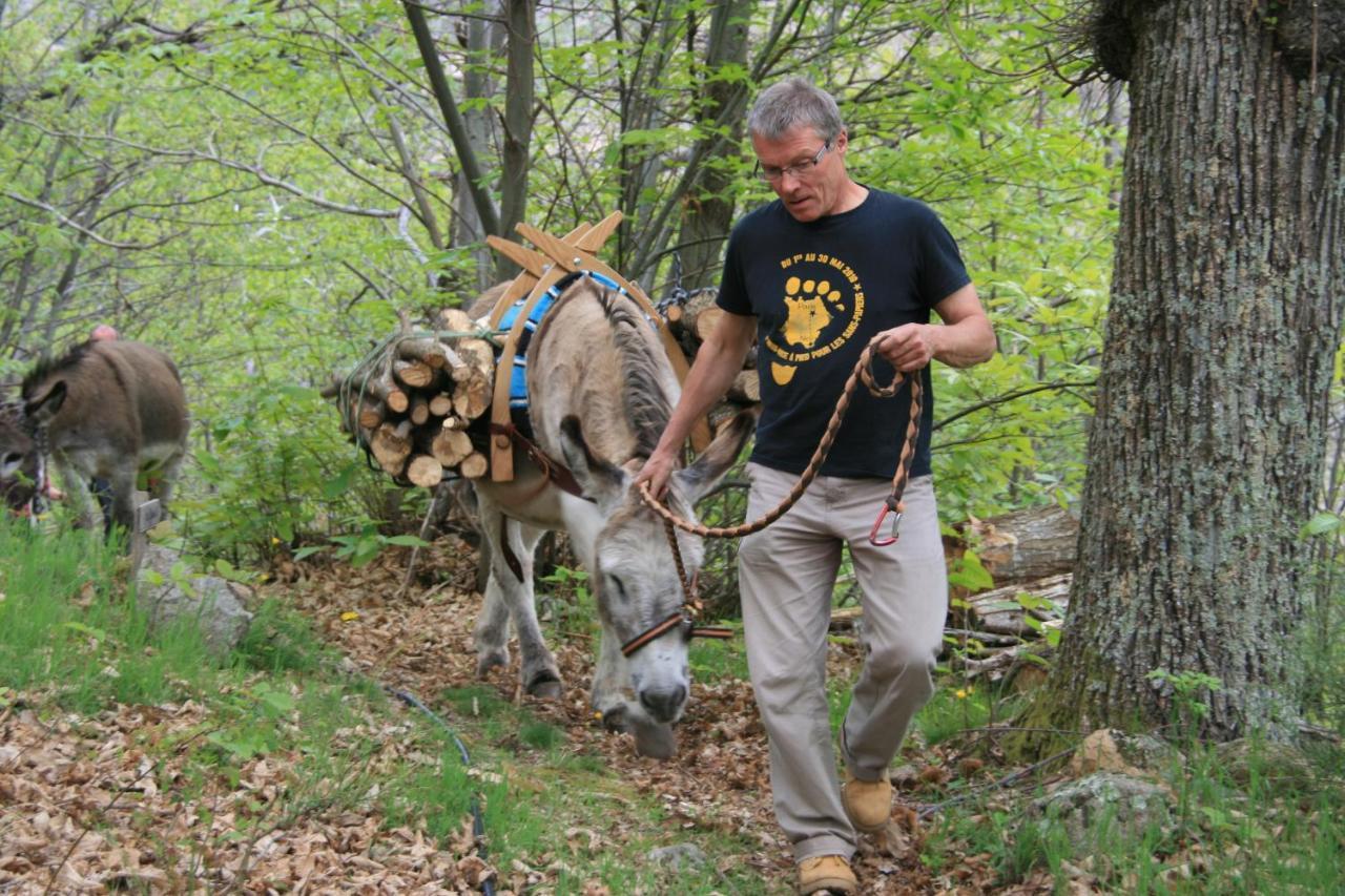Gite De Chapeleche Les Chataigniers Gluiras Eksteriør billede